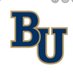 Bethel Royals Tennis (@royalsbethel) Twitter profile photo