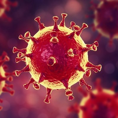 Cuenta divulgativa en español con noticias y última hora sobre la nueva cepa de coronavirus (COVID-19).