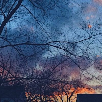 alepab19's profile picture. 19. don’t rlly use this