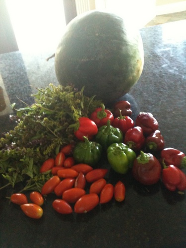 Soup is love. Actually it's making food for people, and seeing them enjoy it. Now my BnB serves food I make from what I grow.