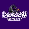 250Esports's profile picture. Dragon Esports out of Pittsburg, KS specializing in Rocket League 🚀⚽️ competing in the Middle School Esports League.