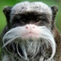 Vladimir Baibus (@vbaibus) 's Twitter Profile