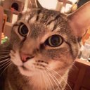 Alisa Stewart - @AlisaSt22656054 - Twitter