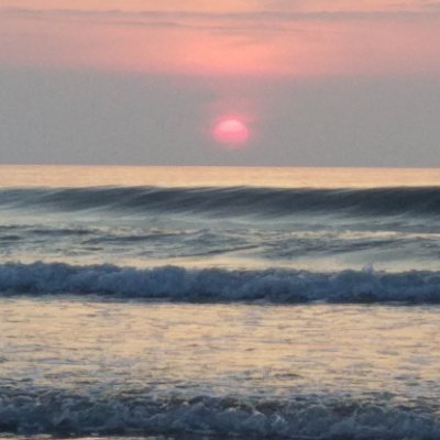 SuzetteZehler's profile picture. 