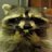TheUAL9's profile image