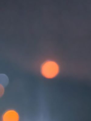 Geovany40823558's profile picture. 