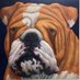 Burkburnett HS Counseling Center (@burkhscouns) Twitter profile photo Burkburnett HS Counseling Center (@burkhscouns) Twitter profile photo