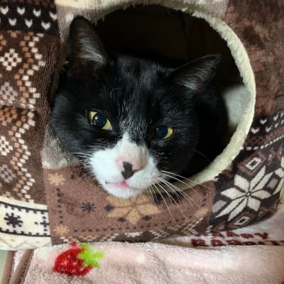 y311znecWqmVg6e's profile picture. 