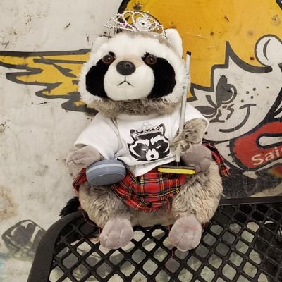 KCTrashPandas's profile picture. Trash Pandas of the Kansas City Curling Club.  Established 2018.  2022-2023-2024 KCCC Champions.