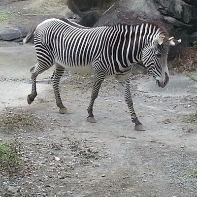 ilovemamba0824's profile picture. wierdo