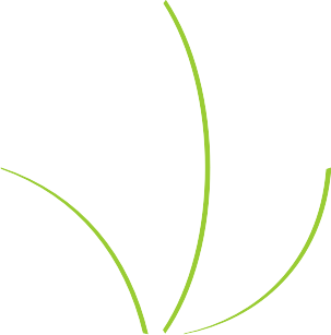 HerbaShopNetBr's profile picture. 