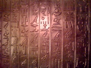 Mar Domenech Profile