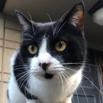 7e313's profile picture. 壊死性筋膜炎→2型DM 網膜症→💉💊ナシ 食de様子見(最新A1c 5.6)。🏫ボラで小1や支援級助っ人 高学年勉強会 子供教室 etc. 息子B2手帳。/ひろのぶ党UG /💕Beatles classic 魚民 BTS 猫🐈‍⬛🕊️✈️🚃🚄好き ちなヤク🐧つば九郎