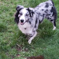 Saraine (@janey_quest) 's Twitter Profile