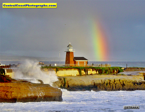 Central Coast Photographs features a growing collection of photographs of California's Central Coast. Categories include Whales, Dolphins, Lanscapes, and more.