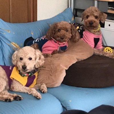 Ino7hiro7's profile picture. 通信業界のDearサラリーマン