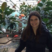 Laura Cressman (@flaurida11) 's Twitter Profile