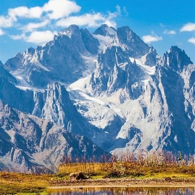 Sashe47972806's profile picture. The best