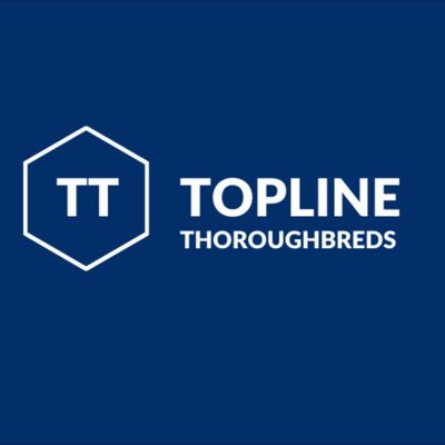 Experience the excitement and thrills of racing with Topline Thoroughbreds