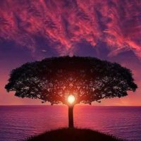 yusuf demir (@yusufde38399294) 's Twitter Profile Photo yusuf demir (@yusufde38399294) 's Twitter Profile Photo