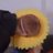 chongonggeorae's profile image