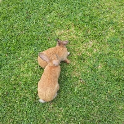 mosmosakin's profile picture. 