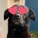 Devin Streeter - @devin_streeter - Twitter