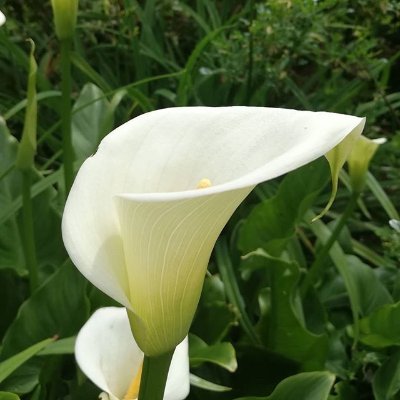 nagdeve_a's profile picture. About to add