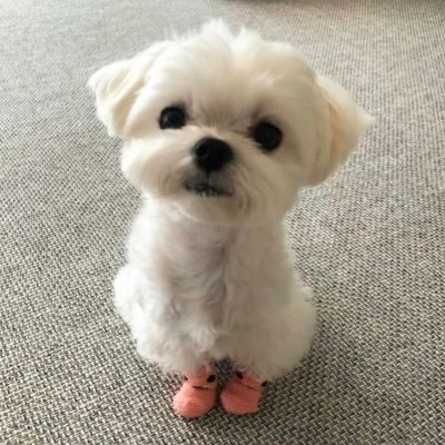 murielcardenass's profile picture. 