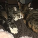 Cathy Burns - @pooh916 - Twitter