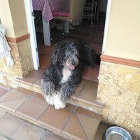 Caballero del Sur,Extinguido. (@banderasanjuan) 's Twitter Profile