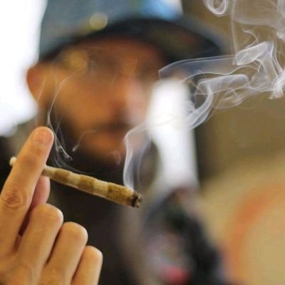 just living my life 💯
dab nd flower enthusiasts
🍀☘
snapchat::terpz4day
we do mail 📬⛴
Tap on my telegram group chat on the link on my bio