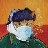 Salt Deli (@saltdelibir) Twitter profile photo