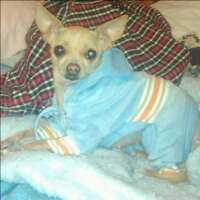 betcgriffith's profile picture. .. trying not to cheapen whatever purpose my life has been assigned  Tongue biting wk n progress