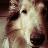 maho6o6's profile picture. 