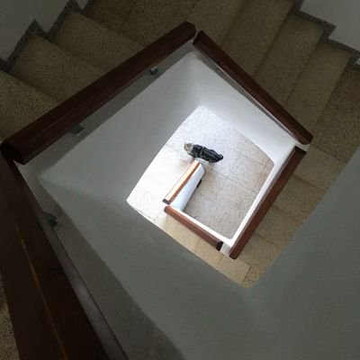 Buscandoalmemo1's profile picture. busco al memo me da igual sexo raza o condición , un memo es un memo