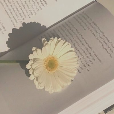 hi_ragi_1107's profile picture. お菓子と小説🥀𓈒𓂃