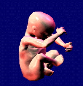 fetus7's profile picture. 超音波専門医・指導医 臨床遺伝専門医 産婦人科専門医 －Freelance － 胎児医学研究所 ・ 瀬戸病院（所沢）にて週２回 胎児超音波診断の専門外来 出生前診断 遺伝外来 (NIPT) やっています。 【どこでもＭＹ病院ー周産期小児領域の健康情報ネットワークコンソシアム】