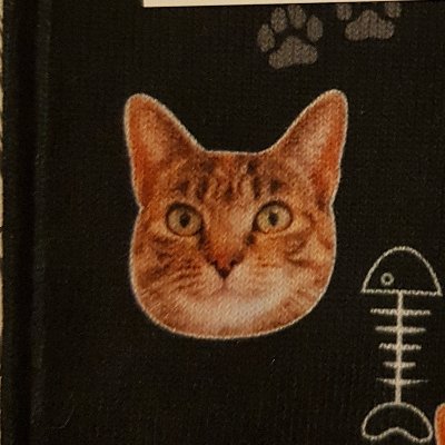 ChrisHolton's profile picture. 