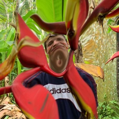 Lampax1's profile picture. 