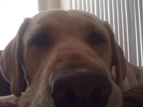 Rio_Dingus's profile picture. 