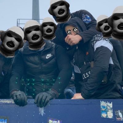 Lokito79411706's profile picture. HOOLIGANS from DONOSTI