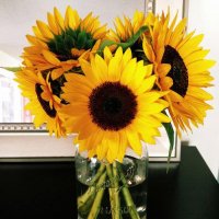 A L Y A 🌻 (@hananaz999) 's Twitter Profile Photo A L Y A 🌻 (@hananaz999) 's Twitter Profile Photo