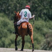 Juan Martín Suárez Nogueira (@juanmsuarez77) 's Twitter Profile