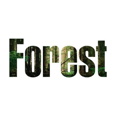 weare_forest Profile Picture