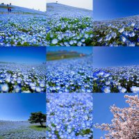 takatomo3_ph(@Takatomo3P) 's Twitter Profile Photo takatomo3_ph(@Takatomo3P) 's Twitter Profile Photo