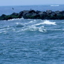 Robert Boatwright - @sammy8008 - Twitter