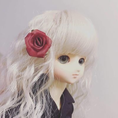 ともたろさんのプロフィール画像