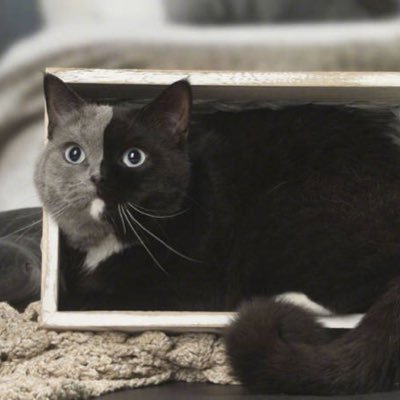 MagicData2's profile picture. play