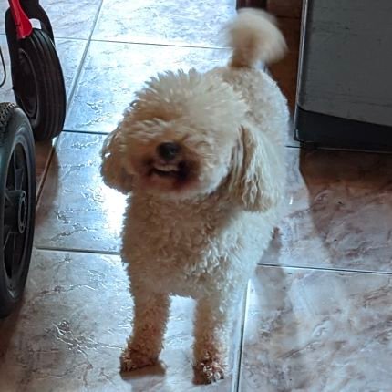 TMYY23152560's profile picture. alguna q otra pelotudes voy a publicar solo esperen